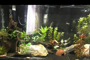 Fluval 200 Thumbnail