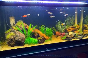 75 Gal Thumbnail