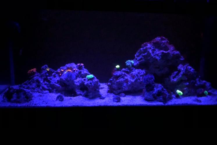 20 Gal. Long Nano Thumbnail