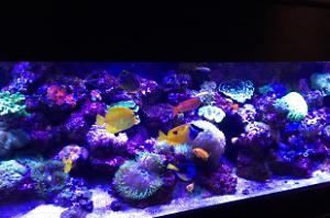 My125gal Thumbnail