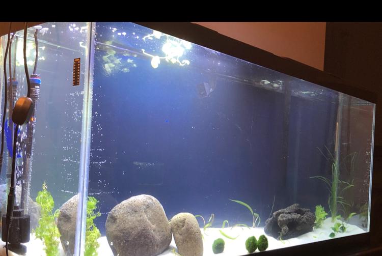 55 gallon on Oct 7, 2020