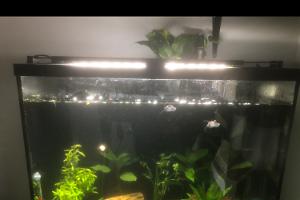 36 gallon on Oct 13, 2020