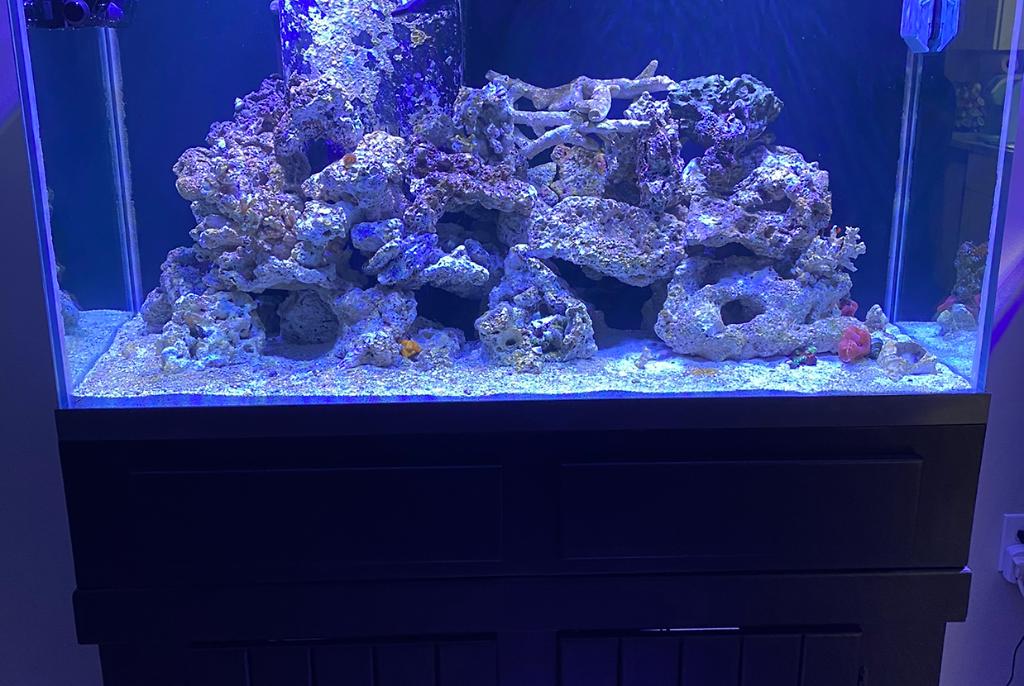 90 Reef on Oct 18, 2020