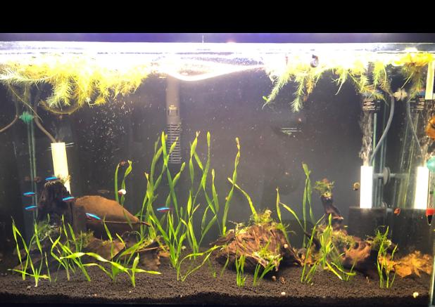 29 gallon on Oct 20, 2020