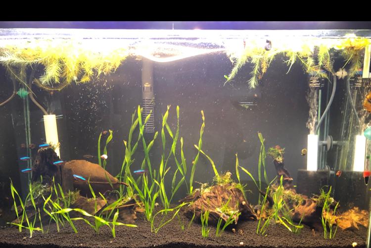 29 gallon on Oct 20, 2020