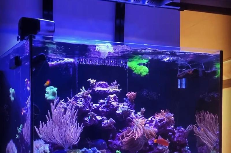 Waterbox 100.3 Mix Reef Thumbnail