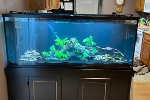 120 Gallon Thumbnail