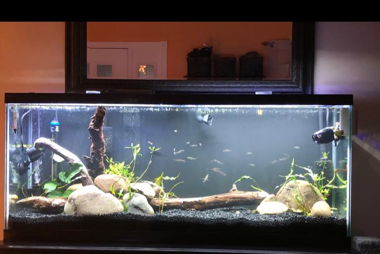 55 gallon on Nov 28, 2020