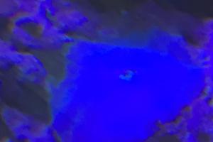 Blue mushroom Thumbnail