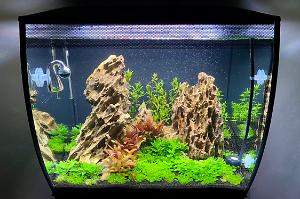 Fluval Flex 57L Thumbnail