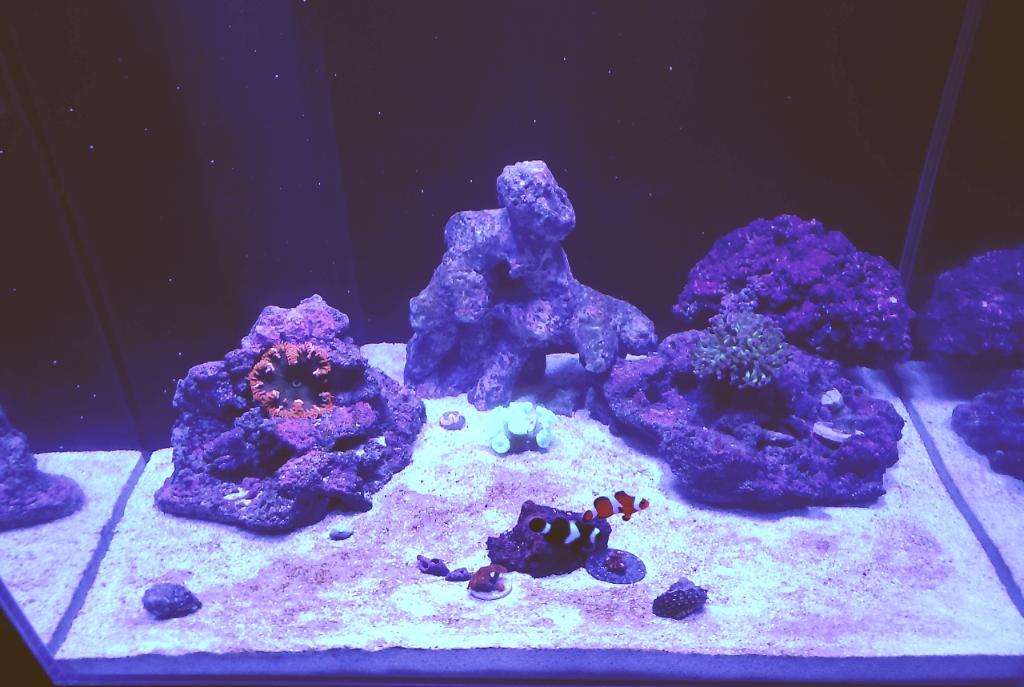 32 gal cube on February 28, 2021