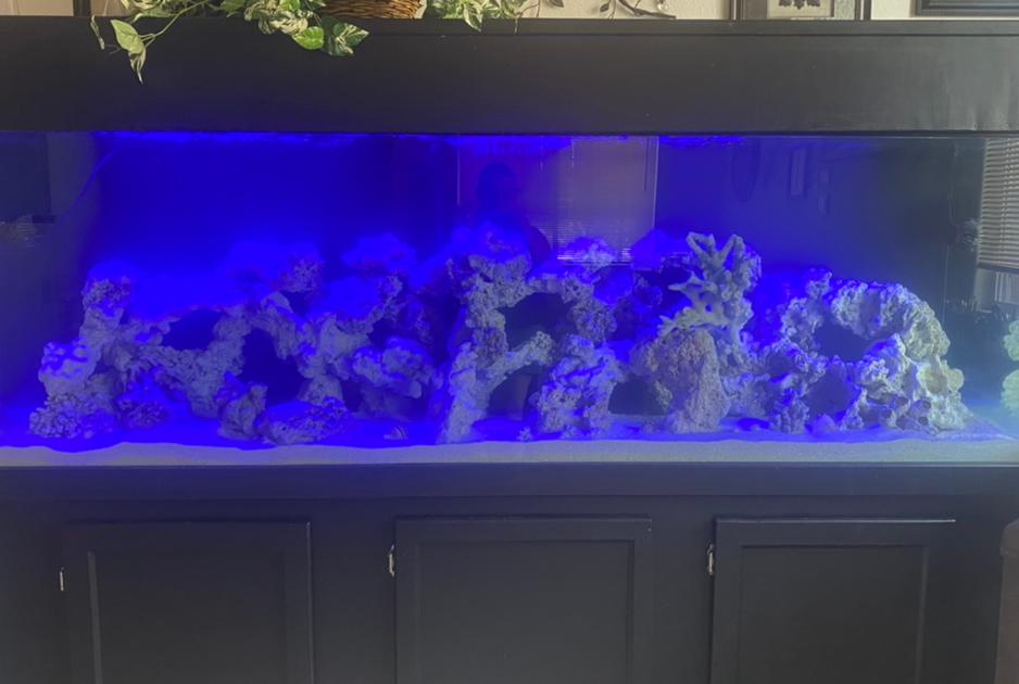 265 gallon on Mar 19, 2021