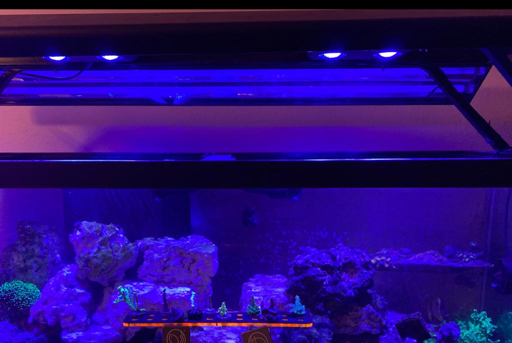 Reef system on Apr 3, 2021