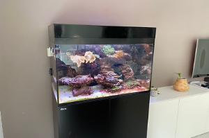 Aquarium@Home Thumbnail