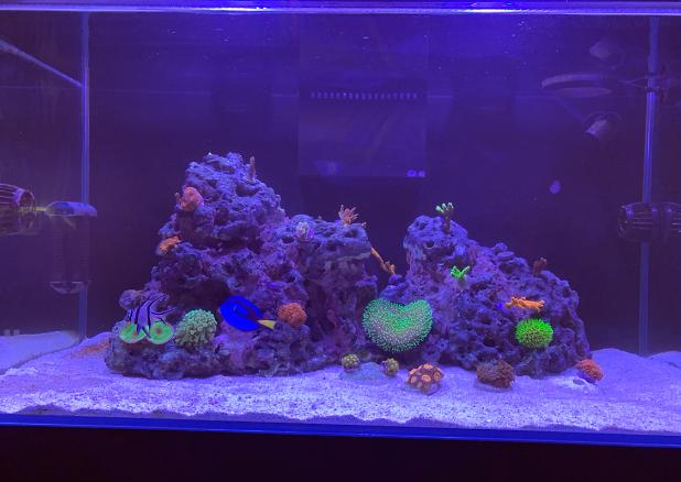 Vlad’s Reef on May 23, 2021