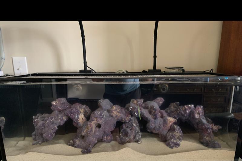 Craig’s 30g Nano Reef Tank Thumbnail