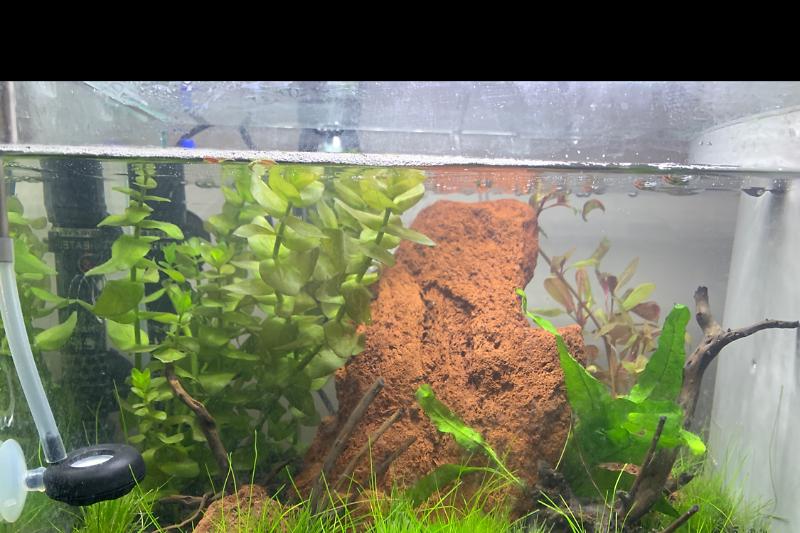 Bedroom 20L Tank Thumbnail