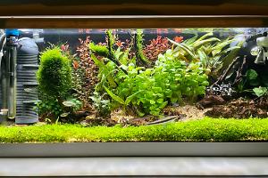 80L Thumbnail