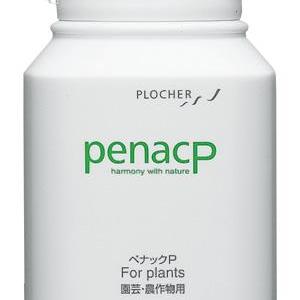 ADA Penac-P