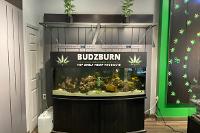 BUDZBURN on Sep 24, 2021