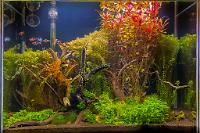 Nature Aquarium on October 16, 2021