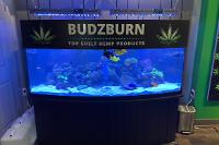 BUDZBURN on Nov 19, 2021