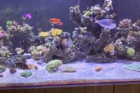 My Aquarium no 3 on December 8, 2021