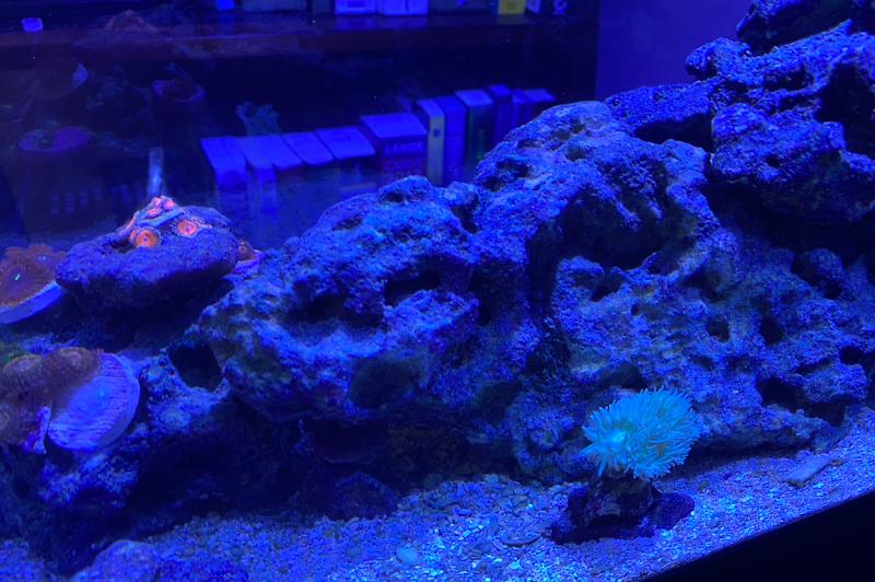 20G Tall Nano Thumbnail