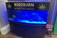 BUDZBURN on Jan 14, 2022