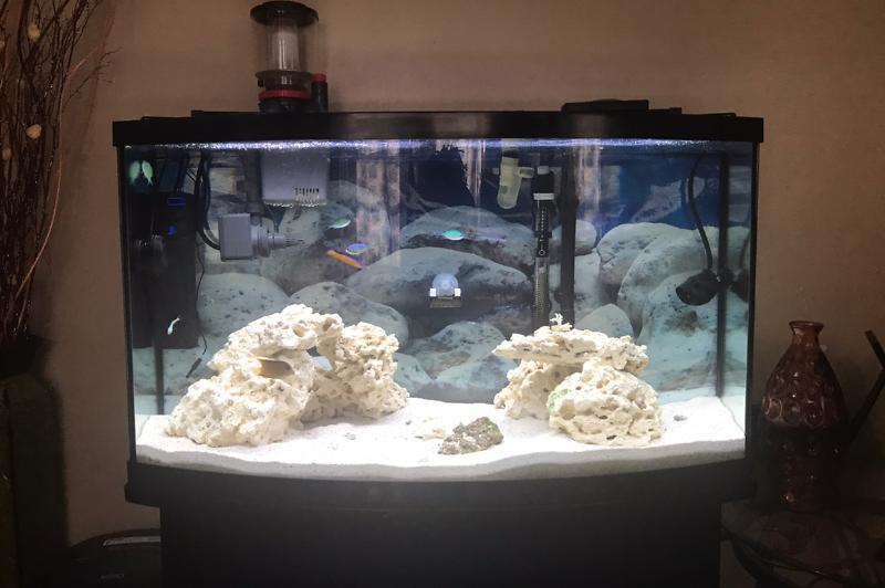 46 Gallon Bow Front Thumbnail