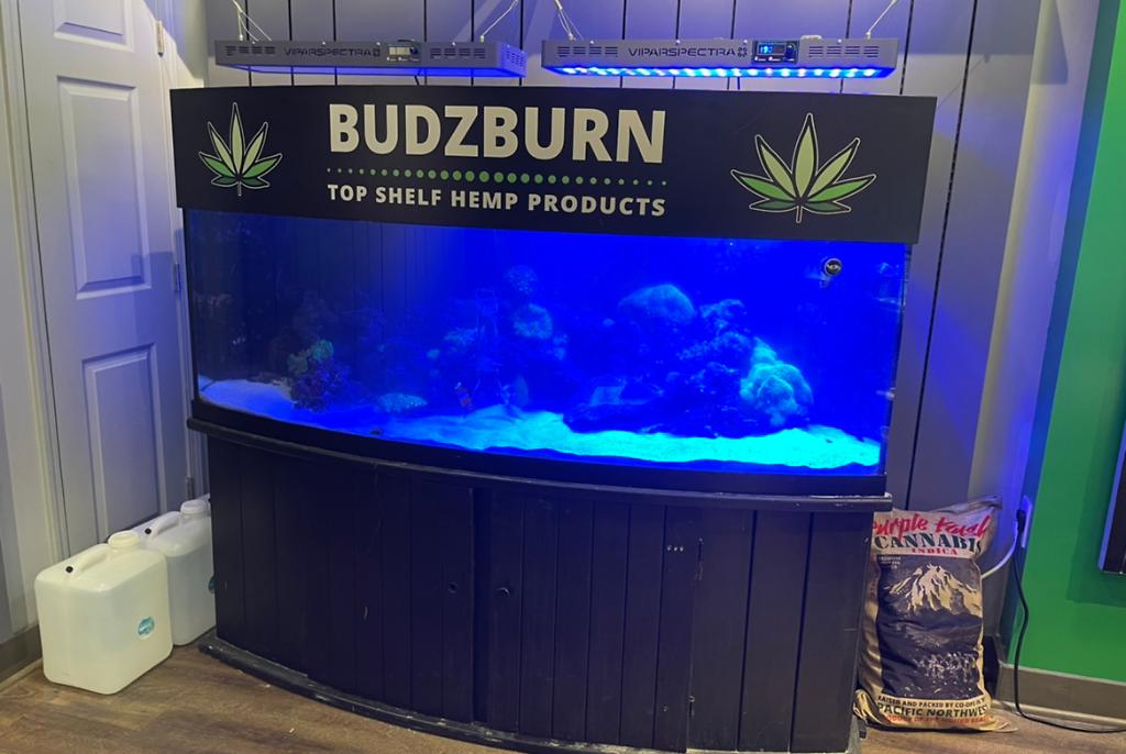 BUDZBURN on Feb 26, 2022