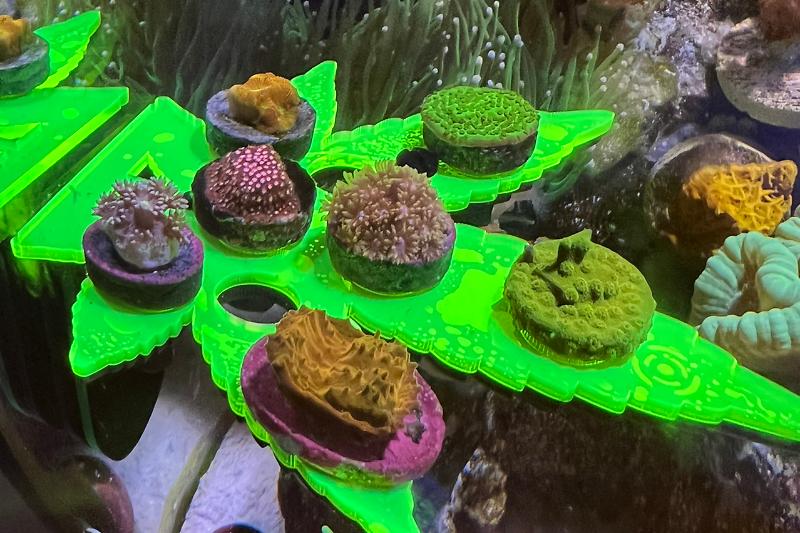 Fluval flex 15 Thumbnail