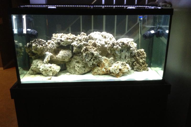 90 Gallon saltwater Thumbnail