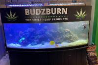 BUDZBURN on Apr 19, 2022