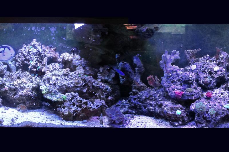 01 - Main Reef Thumbnail