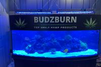 BUDZBURN on May 6, 2022