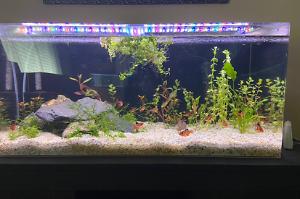 40 Gal on May 21, 2022