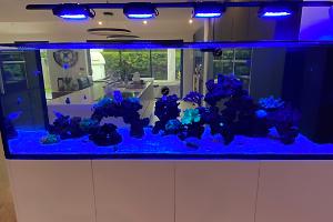 Main Tank Thumbnail