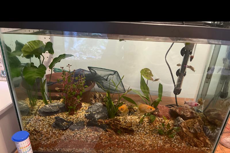 #2 20 gallon Thumbnail