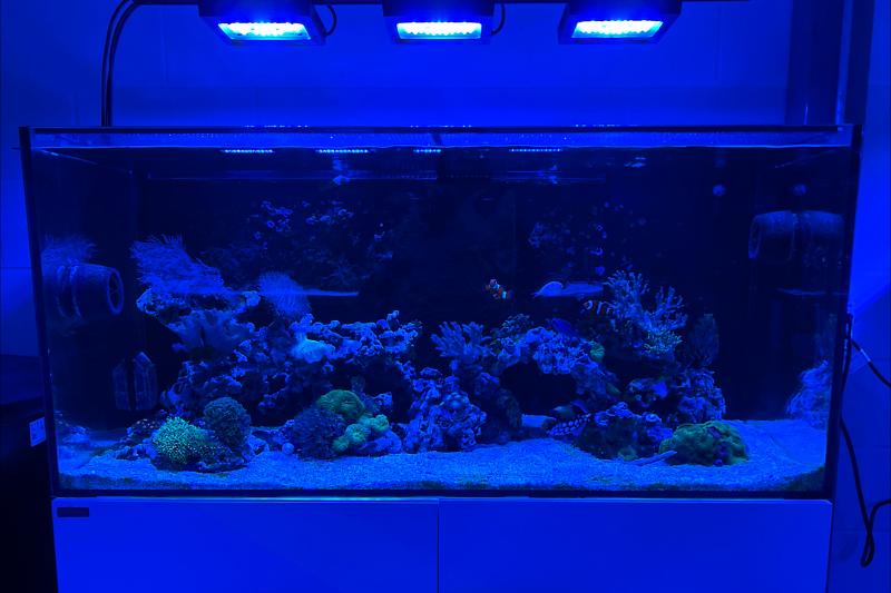 Waterbox Reef 130.4 Thumbnail