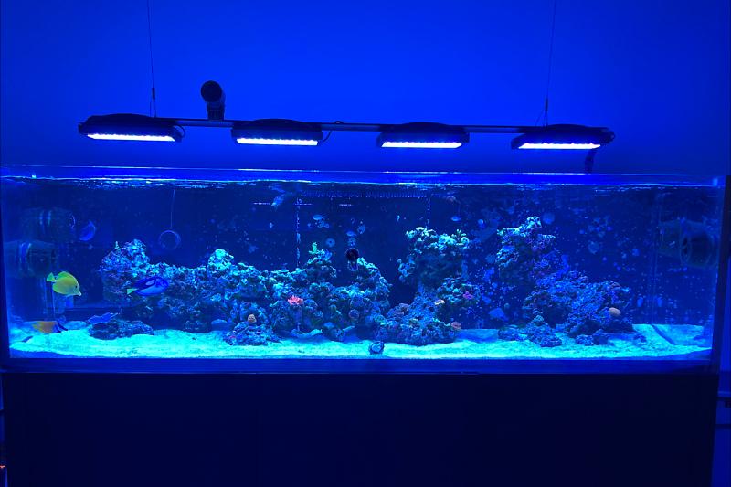 Waterbox Reef LX 320.7 Black Thumbnail