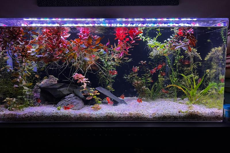 40 Gal Thumbnail