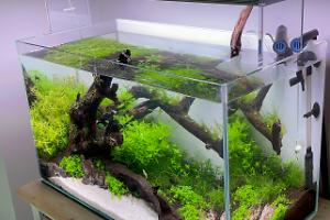 Strideways 60 litre Thumbnail