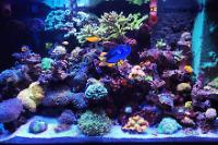 My Aquarium on December 22, 2022