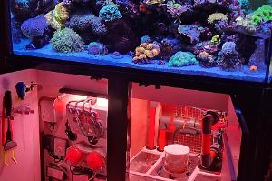 My Aquarium on January 6, 2023