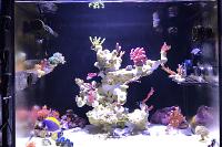 My Aquarium in Taiwan on Jan 11, 2023