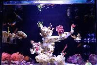 My Aquarium in Taiwan on January 8, 2023