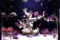 My Aquarium in Taiwan on January 15, 2023