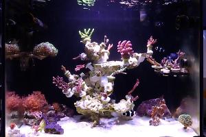 My Aquarium in Taiwan on January 15, 2023