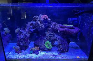 13.5 evo reef Thumbnail